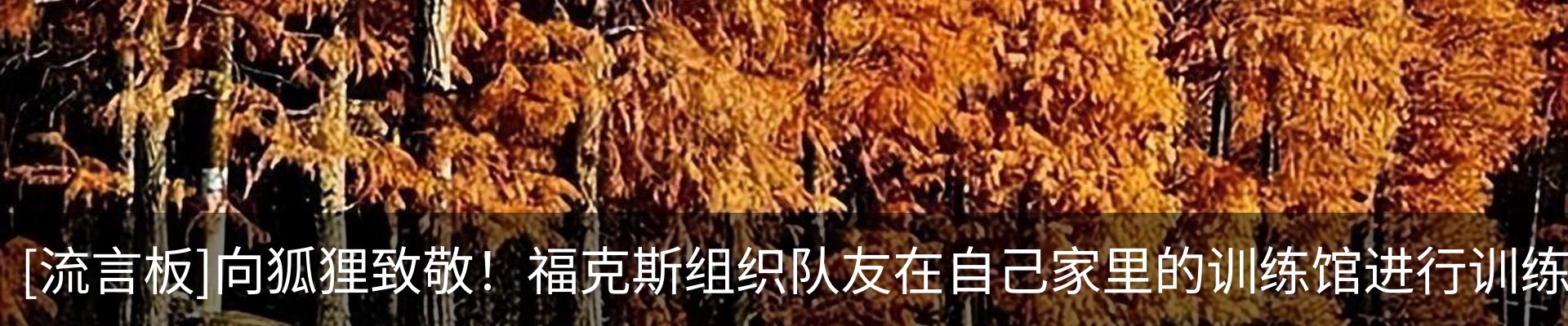 内页banner
